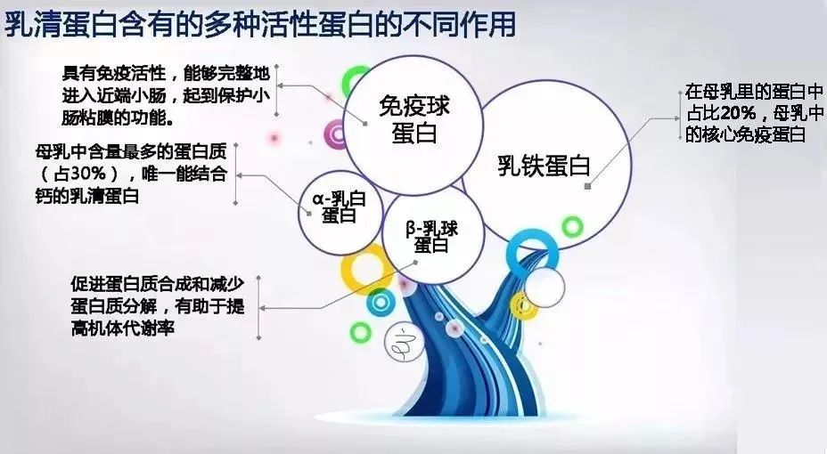为什么建议宝宝吃乳铁蛋白？？？？乳铁蛋白不得不知的好处