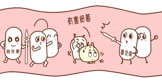 胃癌元凶幽门螺杆菌，，，，益生菌竟是根除它的好帮手