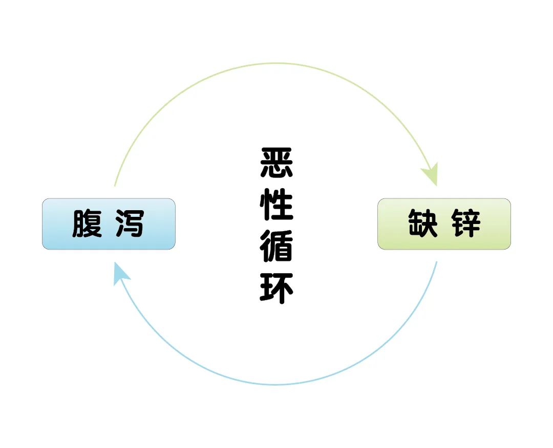 宝宝腹泻期间，，为什么要补锌？？？？